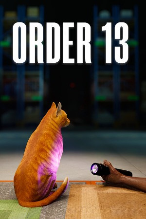 ORDER 13