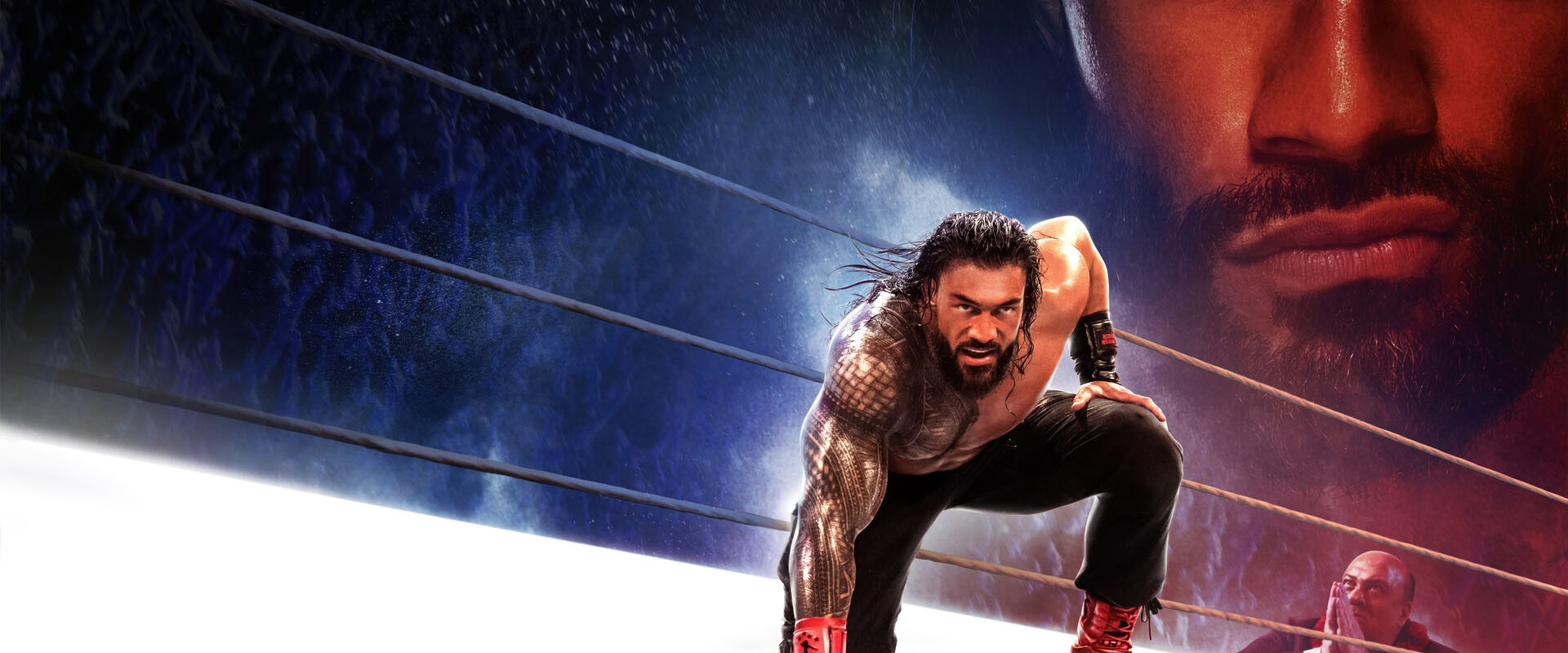 WWE 2K25