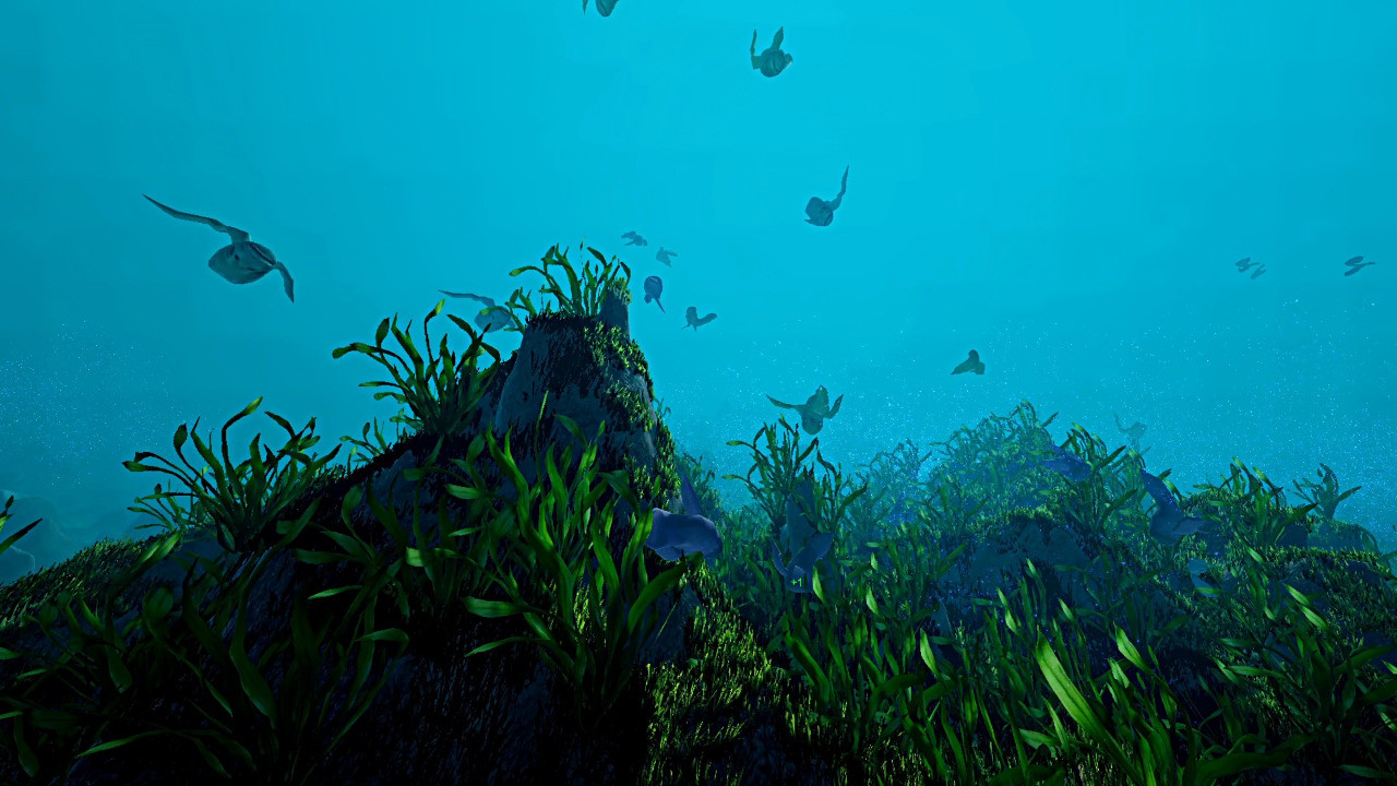 Ecosystem cover