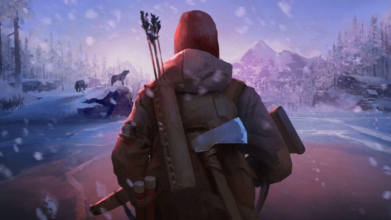 The Long Dark cover