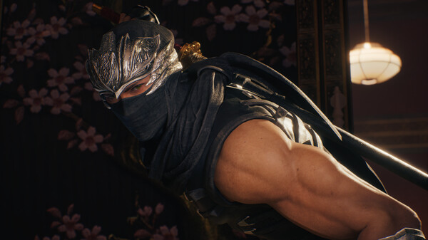 NINJA GAIDEN 2 Black screenshot 1