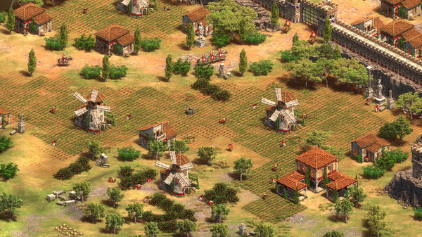 Age of Empires II: Definitive Edition screenshot 3