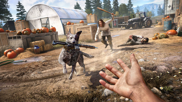 Far Cry 5 screenshot 1