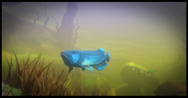 Feed and Grow Fish screenshot 4