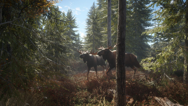 The Hunter: Call of the Wild screenshot 4