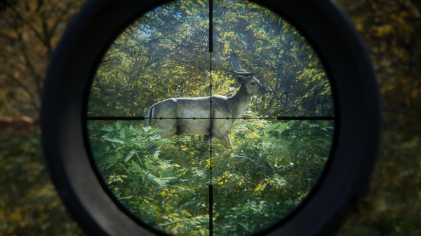 The Hunter: Call of the Wild screenshot 2