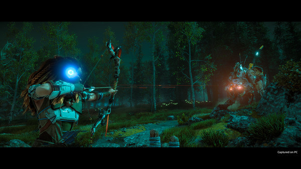 Horizon Zero Dawn screenshot 1