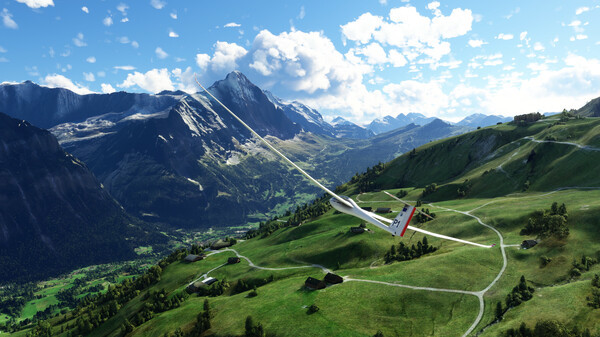 Microsoft Flight Simulator screenshot 3