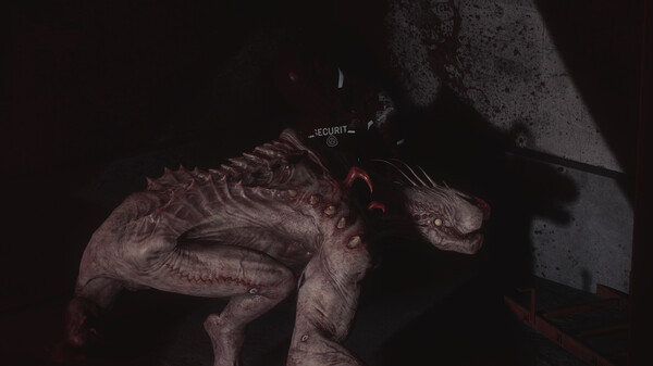 SCP 5K screenshot 1