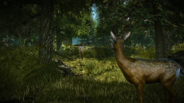 The Witcher 2 Assassins of Kings Enhanced Edition screenshot 3