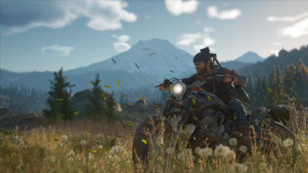 Days Gone screenshot 2